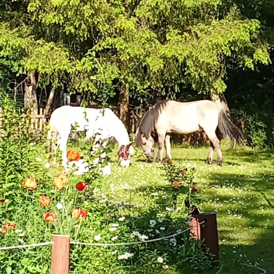 Pauline und Fritz Pauline und Fritz