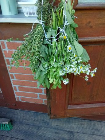 Küchen Kräuter aus dem Hausgarten Küchenkräuter aus dem Garten