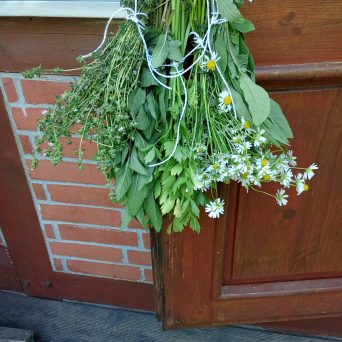 Küchenkräuter aus dem Garten